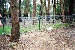 2000 - Australie 119G